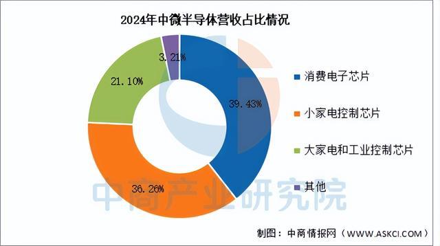 2025年中国MCU行业市场前景预测研究报告（简版）(图12)