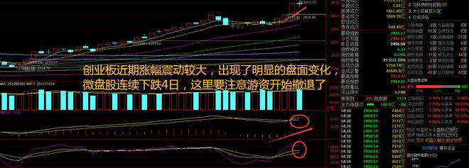 半导体爆发！寒武纪领涨沪指冲高回落分化加剧值(图2)